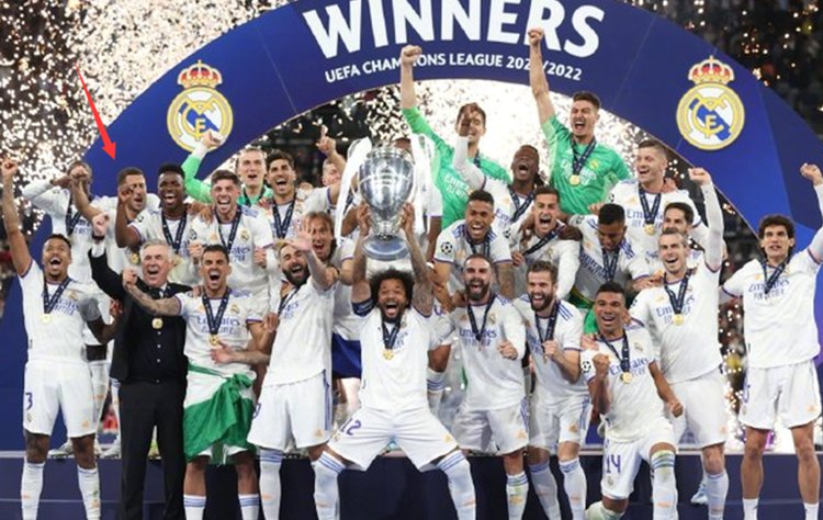 葵花籽脱蜡生产线